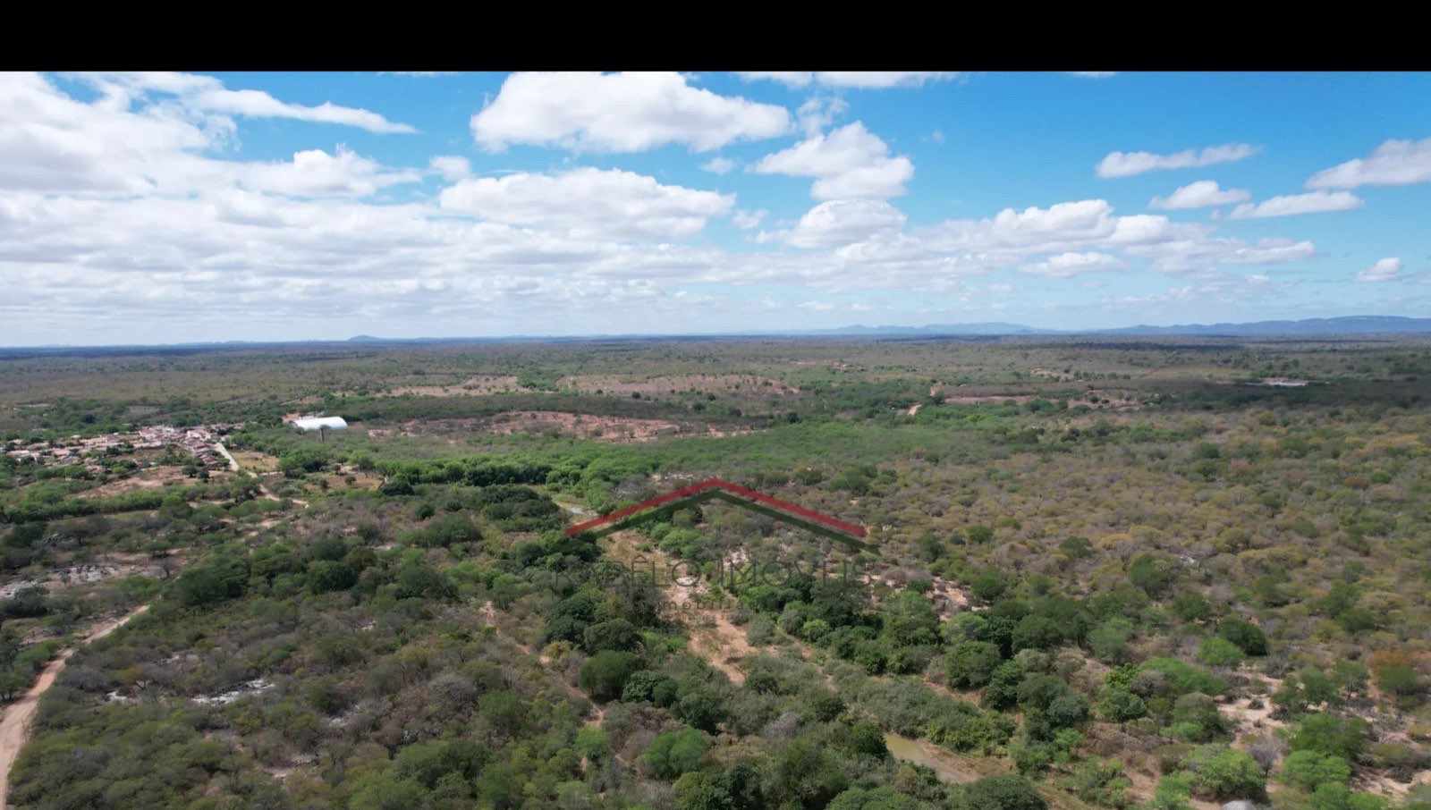 Fazenda 230 ha Caroalina - Sertânia-PE em Sertânia