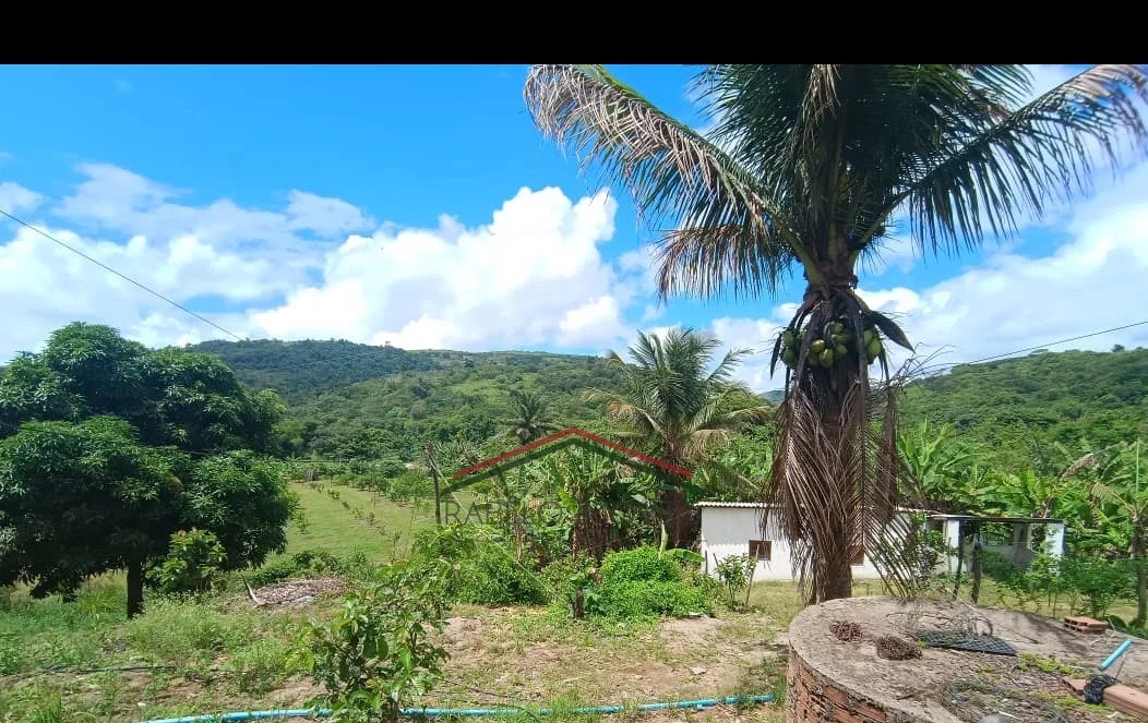 Sítio Produtivo à Venda – Excelente Oportunidade Rural em Pombos/PE em Pombos