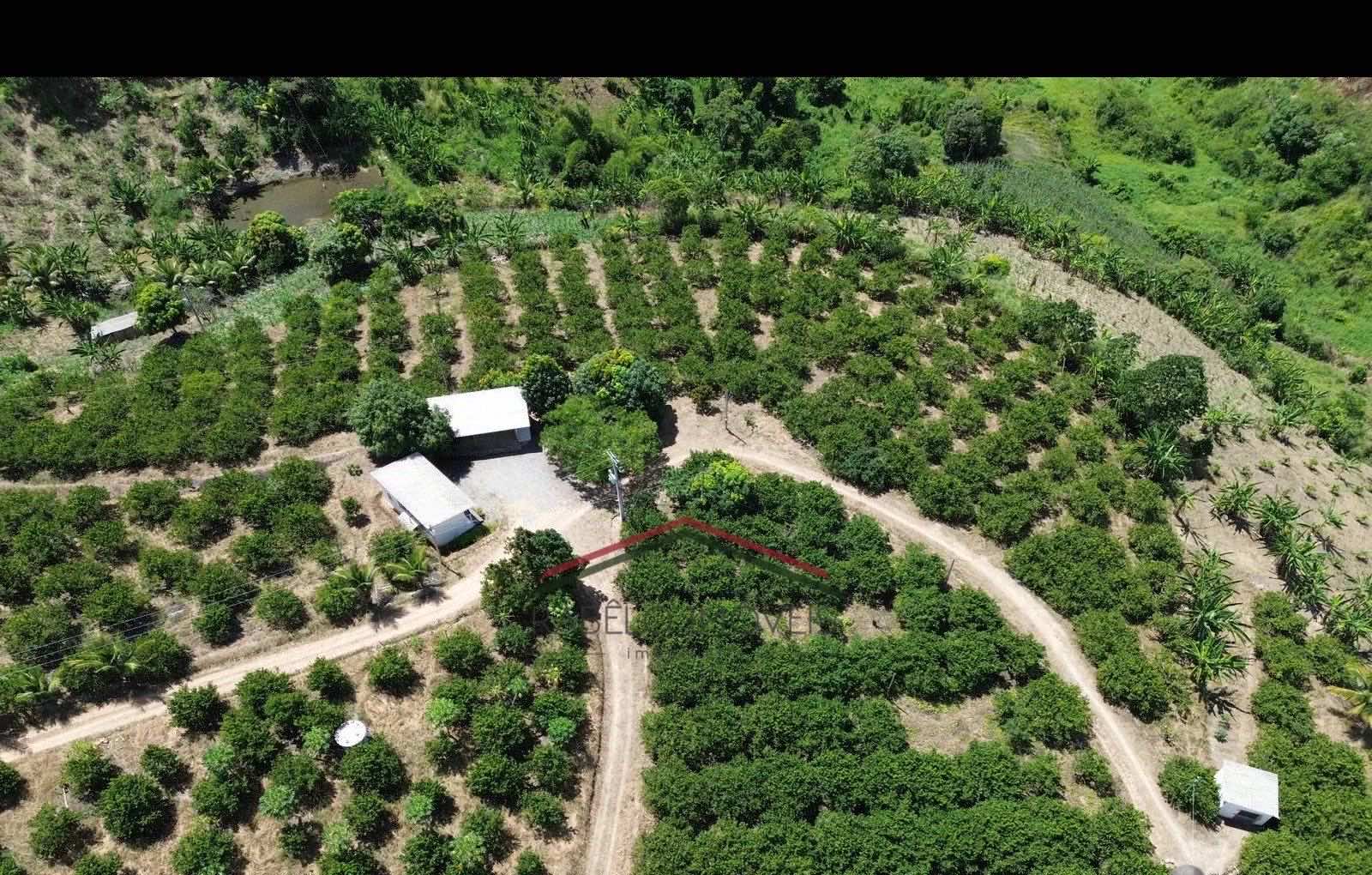 Sítio 8,1 ha à Venda em Chã Grande/PE em Chã Grande