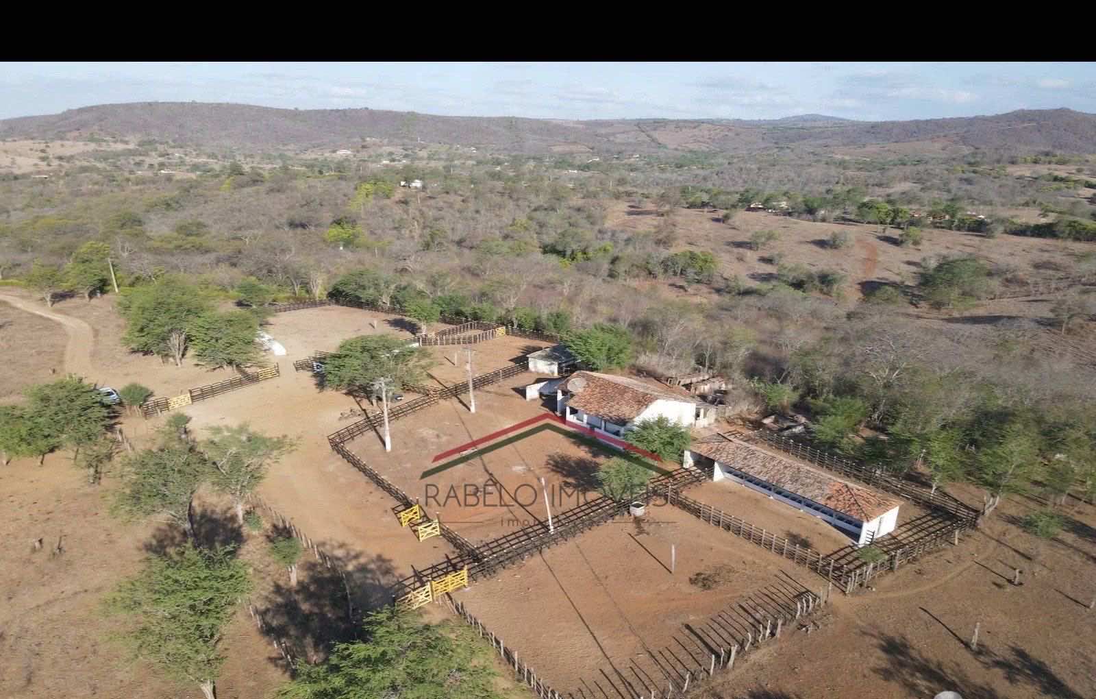 Fazenda 350 ha à Venda em Cotunguba - Gravatá em Cotunguba - Gravatá