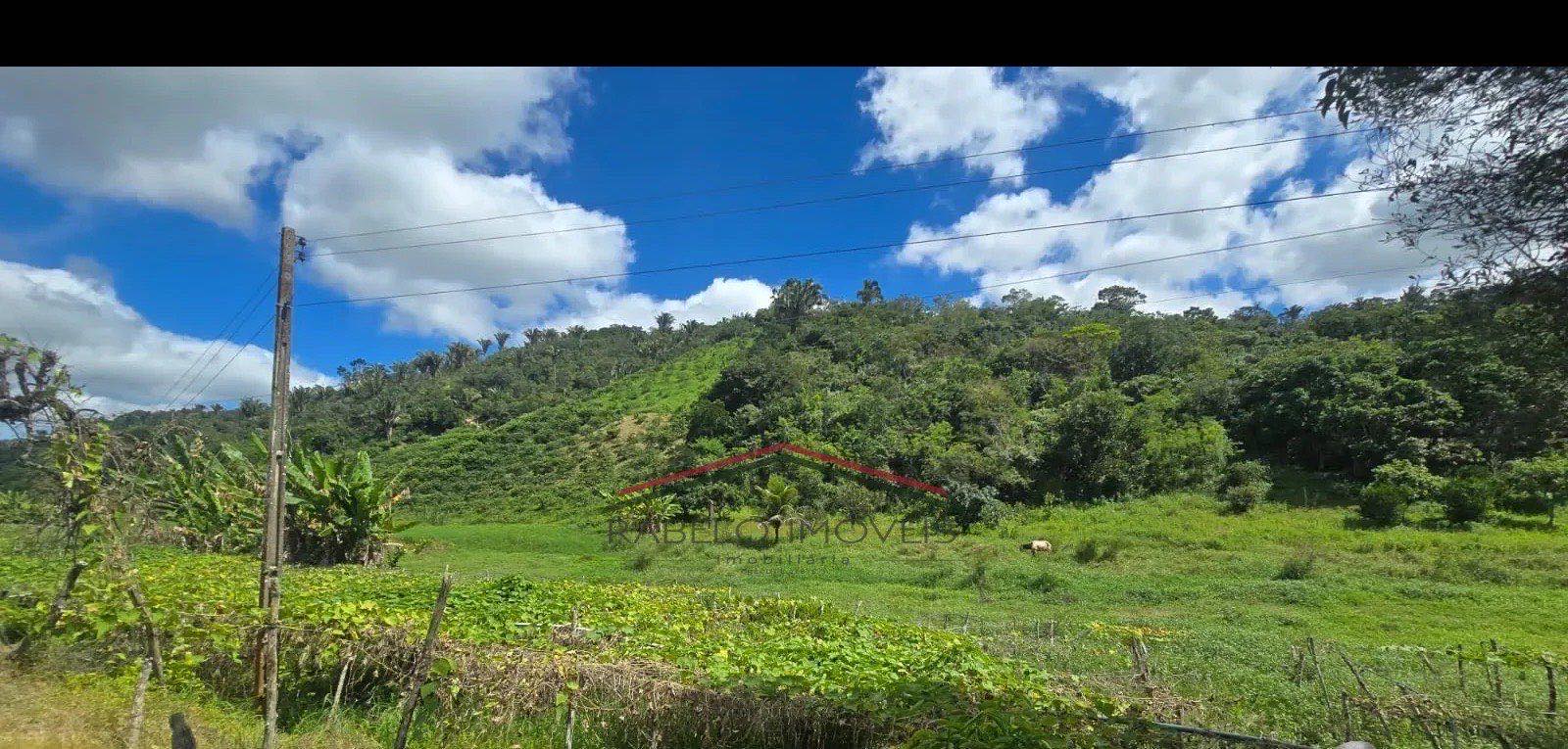 Sítio em Zona rural, Chã Grande em Chã Grande